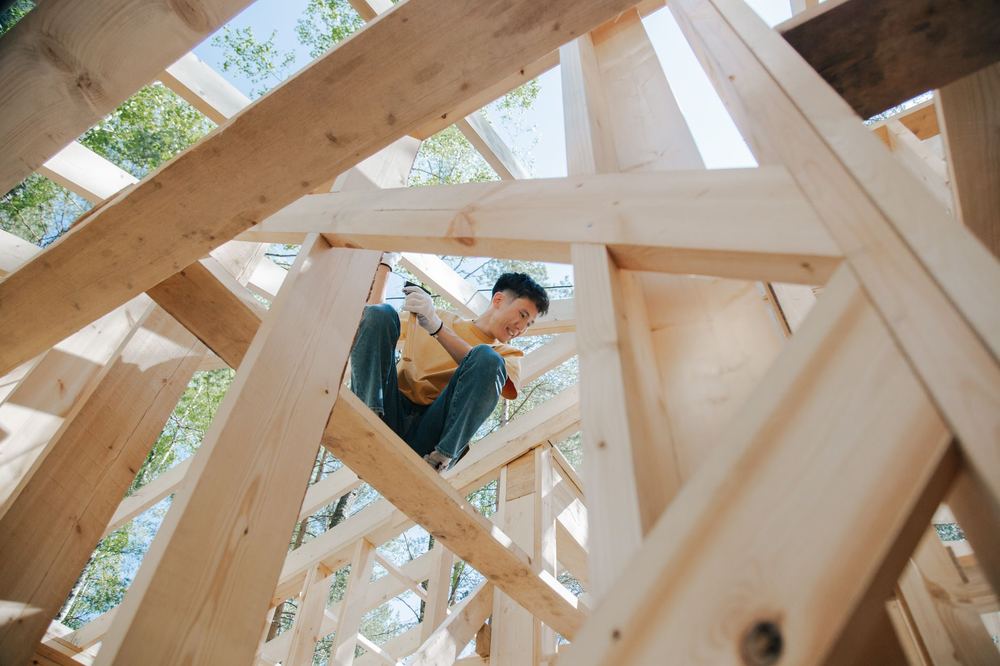 Structure de charpente bois